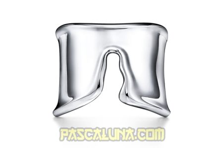 Elsa Peretti Split Ring in Sterling Silver