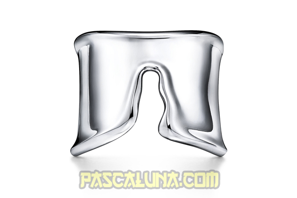Elsa Peretti Split Ring in Sterling Silver
