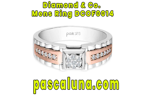 Diamond & Co. Mens Ring DCOF0014