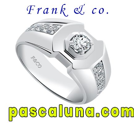 Frank & Co. Maverick Men'S Jewellery